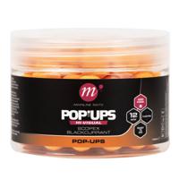 Mainline High Visual Mini Pop-ups 12mm Scopex & Blackcurrant - thumbnail