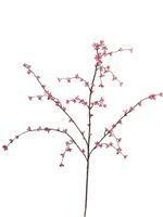 Cross pruimen spray roze 93cm - thumbnail