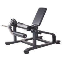 Toorx Professional AKTIV - Leg Extension Machine - FWX-4800