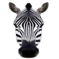 Masker zebra