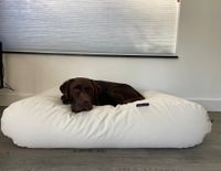 Dog's Companion® Hondenbed ivory leather look large - thumbnail