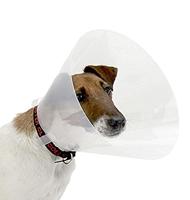 Croci Elisabethaanse halsband voor honden, maat XXL, kegelvormige Elisabethaanse halsband voor bescherming en verzorging van honden en katten, voorkomt krassen, bijten en likken, 30 cm