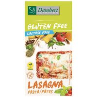 Lasagne glutenvrij