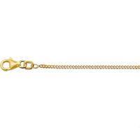 TFT Collier Geelgoud Gourmet 1,6 mm x 42 cm