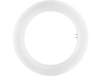OSRAM LED Energielabel A+ (A++ - E) G10q Ring 12 W Neutraalwit (Ø x l) 30 mm x 205 mm 1 stuk(s)