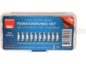 Max Hauri 128449 Buiszekering assortiment (Ø x l) 5 mm x 20 mm Snel -F- Inhoud 100 stuk(s)