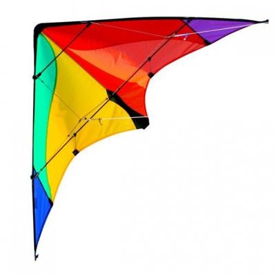 Elliot tweelijnsstuntskite Delta Basic Rainbow 117 cm Elliot tweelijnsstuntskite Delta Basic Rainbow 117 cm