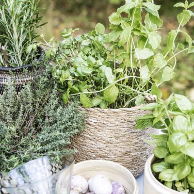 Society of Lifestyle 212470104 serveerschaal Society of Lifestyle 212470104 serveerschaal