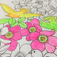 Primo 115A12FM watergedragen verf Multi Kleurenpalet 12 stuk(s)