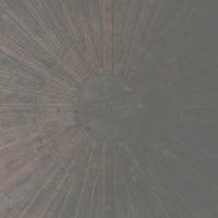 Selva Oscura - CD (0656605331225)