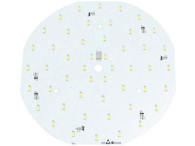 Barthelme 50762333 LED-module Wit 21.84 W 2269 lm 120 ° 24 V
