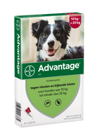 Advantage Hond 250, 10 - 25 kilo 4 pipetten