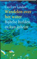 Wandelen over het water - thumbnail