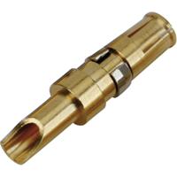 Conec 132C10039X 132C10039X Hoogvermogen buscontact AWG (min.): 12 AWG (max.): 10 Goud op nikkel 30 A 1 stuk(s)