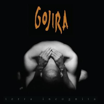 Terra Incognita - CD (3760053843241)