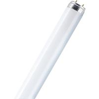 OSRAM TL-lamp Energielabel: G (A - G) G13 16 W Warmwit Buis (Ø x l) 25.5 mm x 734.2 mm 1 stuk(s) - thumbnail