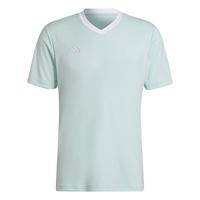 adidas Heren Entrada 22 Jersey, Clear Mint, S