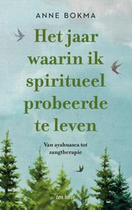 Het jaar waarin ik spiritueel probeerde te leven - Anne Bokma - ebook