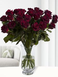 30 dieprode rozen - Black Baccara