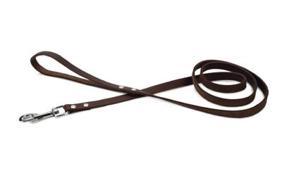 Beeztees - Hondenriem - Geniet - Bruin - 165x16 cm