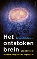 Het ontstoken brein - Edward Bullmore - eBook (9789044638868)