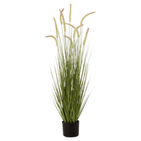 J-Line Kunstplant in Pot Grassen M