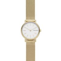 Horlogeband Skagen SKW2693 Mesh/Milanees Doublé 14mm