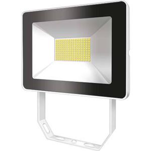 ESYLUX OFLBASICLED30W 4K WH EL10810718 LED-buitenschijnwerper 30 W Wit