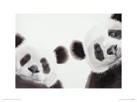 Twee Reuzenpanda's Art Print Aimee Del Valle 30x40cm