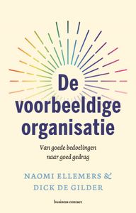 De voorbeeldige organisatie - Naomi Ellemers, Dick de Gilder - ebook