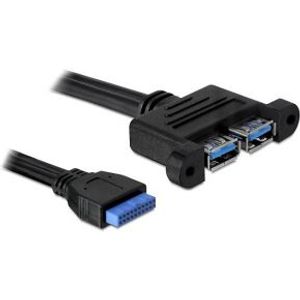 Delock 82941 USB 5 Gbps kabel Pin Header female naar 2 x USB Type-A female aangrenzend 45cm