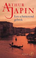 Een schitterend gebrek - Arthur Japin - ebook - thumbnail