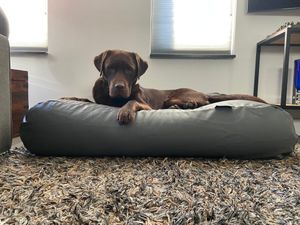 Dog's Companion® Hondenbed muisgrijs leather look