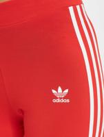 adidas Originals / Legging Originals 3 Stripes in rood