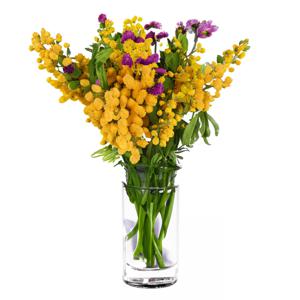 Bloemenvaas Anna - helder transparant glas - D11,5 x H20 cm - decoratieve vaas - bloemen/takken