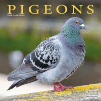 Pigeons Calendar 2026 Square Birds Wall Calendar - 16 Month