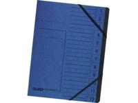 Falken 11288099 Ordner Blauw DIN A4 Colorspankarton Aantal vakken: 12