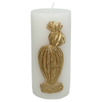 Wants&Needs Accessoires Kaars Cactus