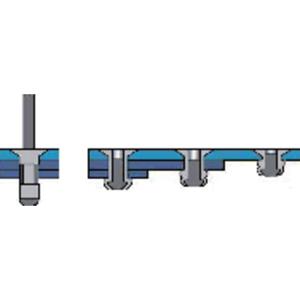 Bralo 1090003209 Popnagel (Ø x l) 3.2 mm x 9.5 mm Staal Aluminium 500 stuk(s)