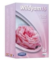 Wild Yam 16 - thumbnail