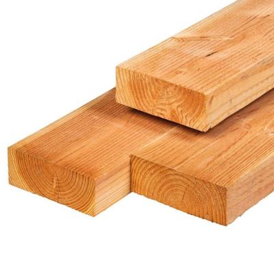 Ligger douglas 6,3x17,5x305 cm Tuindeco - Tuindeco Ligger douglas 6,3x17,5x305 cm Tuindeco - Tuindeco