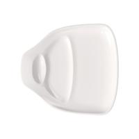 BBQ Passion Grote Steakborden, set van 2 van Villeroy & Boch - Premium porselein - Made in Germany - Vaatwasser- en magnetronbestendig - 11,75 x 11,5 inch