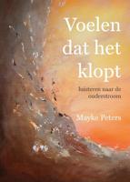 Voelen dat het klopt (Paperback)