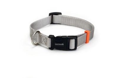 Beeztees uni - halsband hond - lichtgrijs - 20-30 cm x 10 mm Beeztees uni - halsband hond - lichtgrijs - 20-30 cm x 10 mm