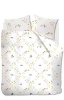 MB DBO Jasminum Multi 240x200/220