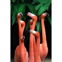 Wanddecoratie Bright Wings 002 98x148cm op dibond met blind kunststof ophang bohemian