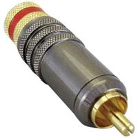 TRU COMPONENTS 1582678 Cinch-connector Stekker, recht Aantal polen: 2 Rood 1 stuk(s)