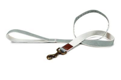 Designed by Lotte Virante - Hondenriem - Mint - 120 cm x 25 mm