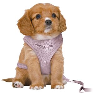 TRIXIE HONDENTUIG JUNIOR PUPPY SOFTTUIG MET RIEM LILA 36-50X1 CM / 2 MTR