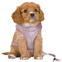 TRIXIE HONDENTUIG JUNIOR PUPPY SOFTTUIG MET RIEM LILA 36-50X1 CM / 2 MTR